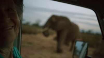 "Li won't worry about you at all
if I know you will do that, - The Woman Who Loves Giraffes