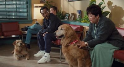 Lie down - Doctor Dolittle
