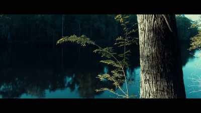 ["Lie in the Sun" by ORKAS] - Forest of Death
