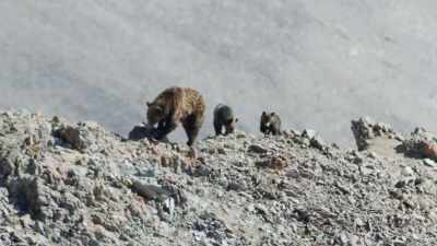 Life for a hunter is never easy. - Epic Yellowstone