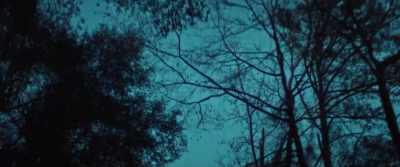 Life extension,
it seemed to me, - Citizen Bio