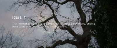 Life is full of qualia, - The Case for Heaven