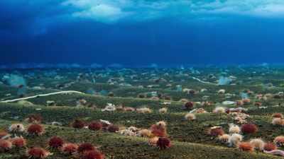 Life here under the ice
has remained unchanged for millennia. - Seven Worlds, One Planet