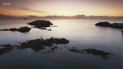 Life on the seafloor
is not safe either. - Wild Isles