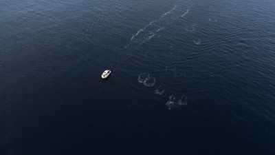 Life is precious. That's what
I've learned from the whales, - Secrets of the Whales