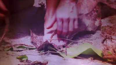 Life is short and I want
to live it together. - Naked and Afraid of Love