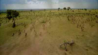 Life streams across a land - Africa: The Serengeti