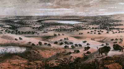 Life there for the Indians
and the buffalo - The American Buffalo