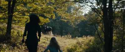 Life would open its arms
and he would carry all before him. - American Pastoral