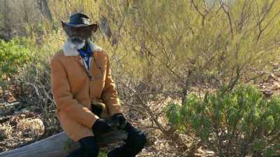 ♫ Life's hard
but living is good... ♫ - My Name Is Gulpilil