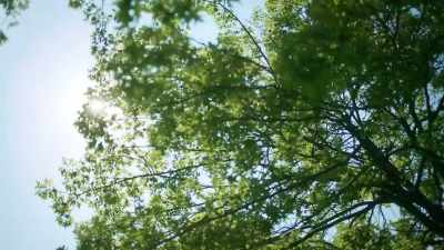 [light ambient music] - Betty