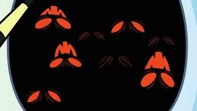 (Light approaching steps) - Total DramaRama