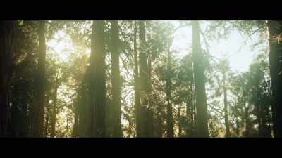 Light from the sun's beams - Andromeda