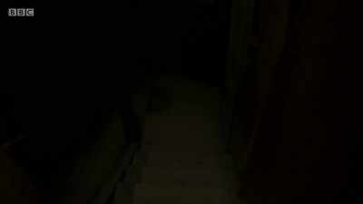 LIGHT SWITCH CLICKS - Ghosts