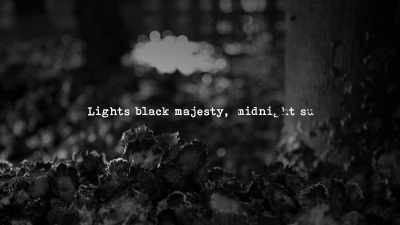 "Lights black
majesty, midnight sun, - The Witch of Kings Cross