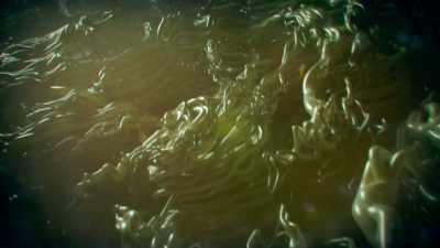Lignin evolved around
400 million years ago
and it changed the world. - One Strange Rock