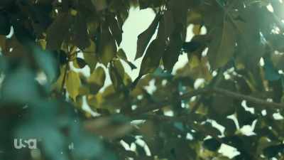 - Like 2007. - Snake in the Grass