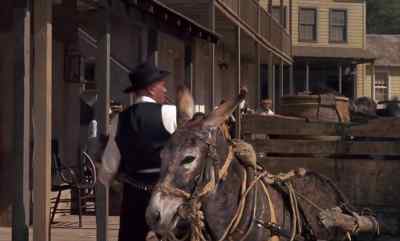 Like a dog in a garbage heap. - Invitation to a Gunfighter