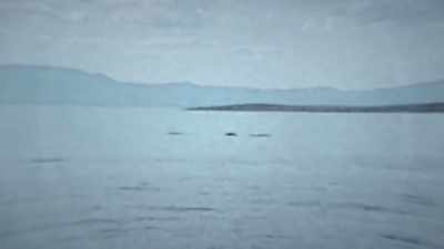 Like a giant snake creature.Uh-huh. - The Alaska Triangle