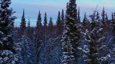 Like a micro-trapping cabin. - Life Below Zero: Next Generation
