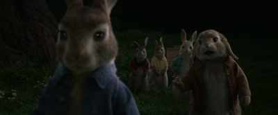 "Like always, huh?" - Peter Rabbit
