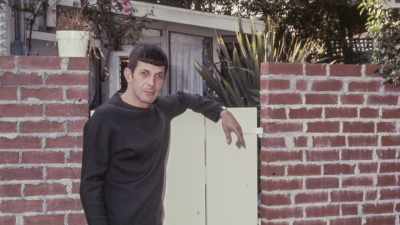 Like build that massive
brick wall in our backyard. - For the Love of Spock
