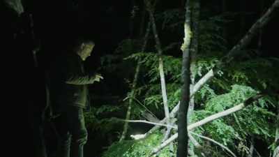 Like, if this fell this way,
if this was tree fall, - Expedition Bigfoot