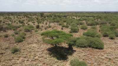 Like much of the world, - The Green Planet
