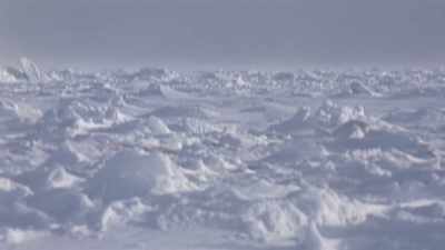 Like Peary and Henson,
he must navigate his sledge - Tales From The Explorers Club