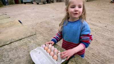 Like pie or buns - Our Yorkshire Farm