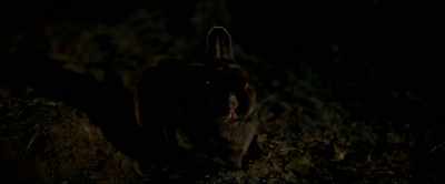 Like you said, it's
just not romantic. - Dead Ant