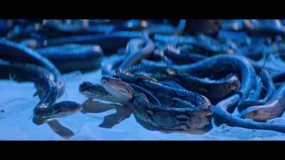 Like, somebody
said, "You have no choice?" - Music by John Williams