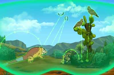 Like the animals here, - The Magic School Bus Rides Again