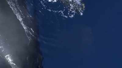 "Like the humpbacks
that eat herring in Alaska," - Secrets of the Whales