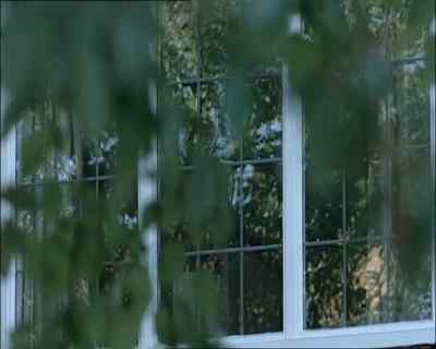 - Like these?
- They weren't there. - Wire in the Blood