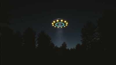 Like UFOs, however, - Secrets of the Sasquatch