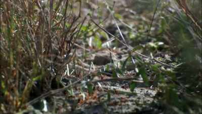 Like when
my producer Jerry ‐‐ - When Nature Calls with Helen Mirren