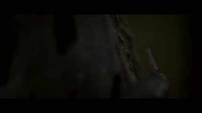 Like worms, - Fever Dream