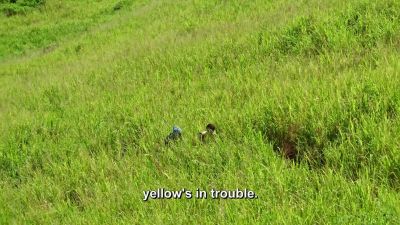 - Like...
- Yeah, a little bit.
A little bit. - Survivor