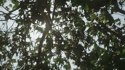 Like, yeah, it was a special moment. - Killers: Caught on Camera