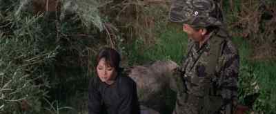 Lin? - The Green Berets