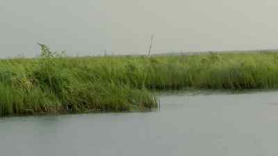 Line down, T.
Line down, my baby. - Swamp People