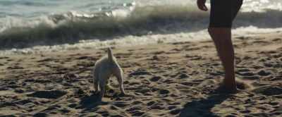 [Line ringing] - Once Upon a Time in Venice