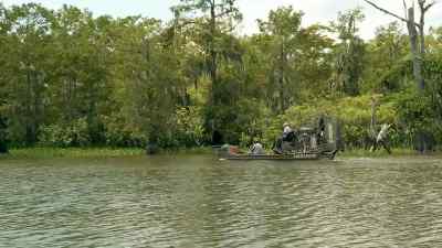 Line's down, pa. - Swamp People