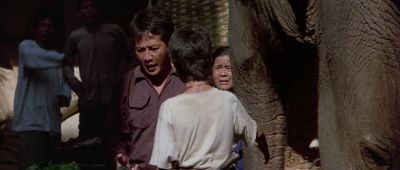 Linh we need to turn the elephant back this way - Operation Dumbo Drop