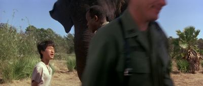 Linh You nice American - Operation Dumbo Drop