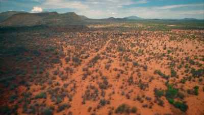 lion-leopard-rhino-elephant-and-buffalo - Expedition Mungo