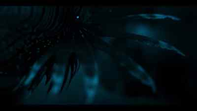 Lionfish are an invasive species - Our Oceans