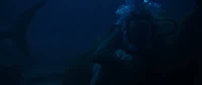 Lisa? Answer me, please. I'm okay. - 47 Meters Down