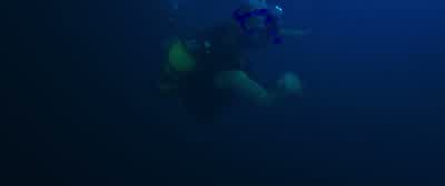 Lisa, open the hatch! - 47 Meters Down